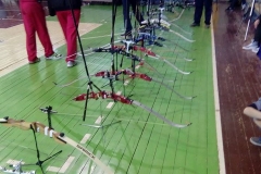 17098341_1601763016505157_8099175364133333524_n